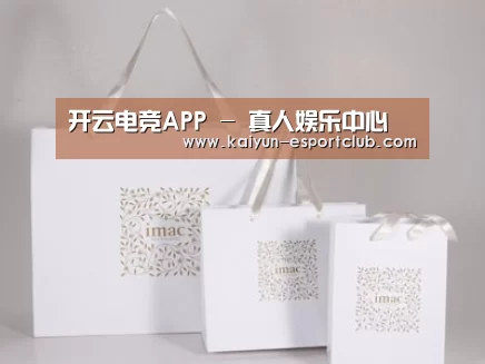 项目名称十一