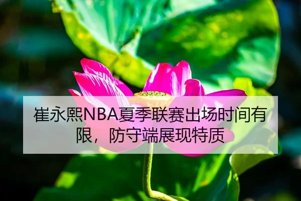 崔永熙NBA夏季联赛出场时间有限，防守端展现特质