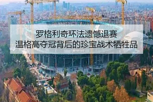 luo-ge-li-qi-huan-fa-yi-han-tui-sai-wen-ge-gao-duo-guan-bei-hou-de-zhen-bao-zhan-shu-xi-sheng-pin-2-365.jpg