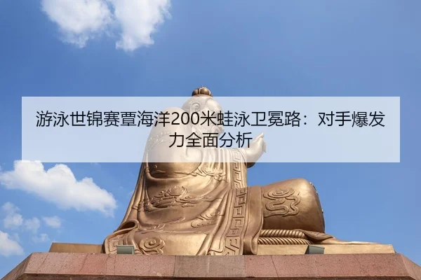 you-yong-shi-jin-sai-tan-hai-yang-mi-wa-yong-wei-mian-lu-dui-shou-bao-fa-li-quan-mian-fen-xi-2-747.jpg