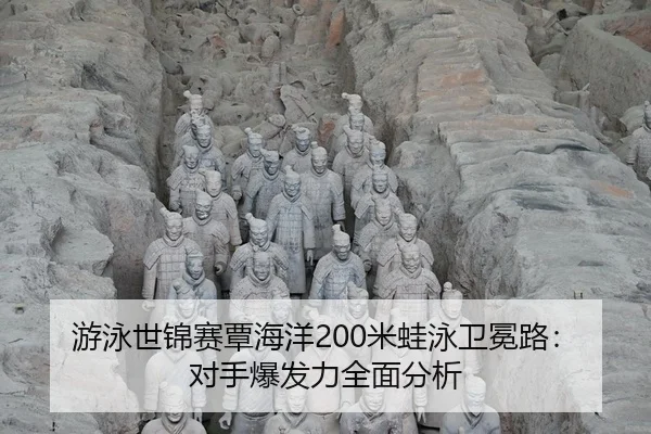 you-yong-shi-jin-sai-tan-hai-yang-mi-wa-yong-wei-mian-lu-dui-shou-bao-fa-li-quan-mian-fen-xi-3-453.jpg