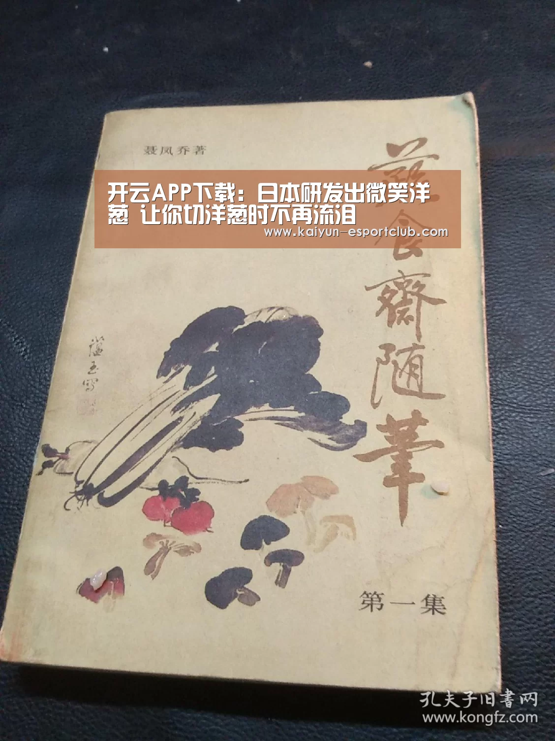 开云电竞APP
